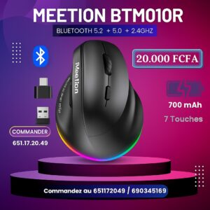Souris Ergonomique Meetion BTM010R