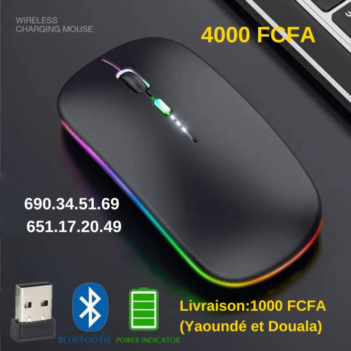 Souris Bluetooth RVB img2