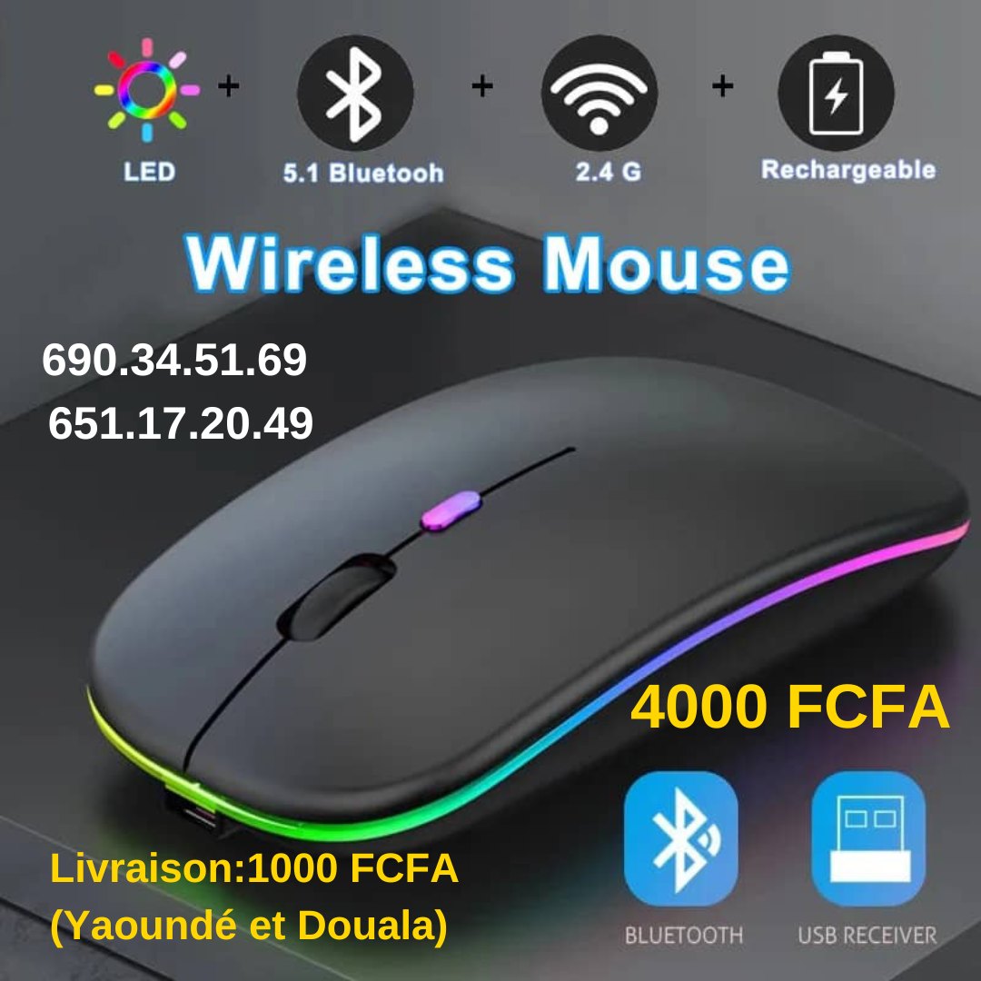 Souris Bluetooth RVB