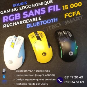 Souris Ergo M12