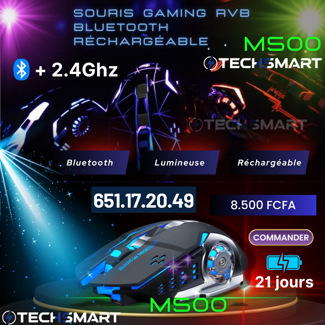 Souris Gaming RVB Bluetooth
