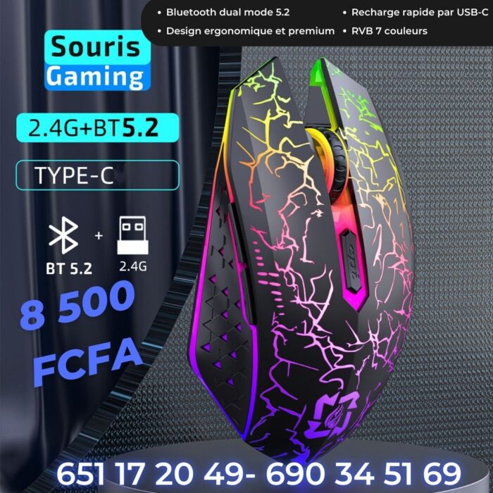 Souris M8 Dual Mode