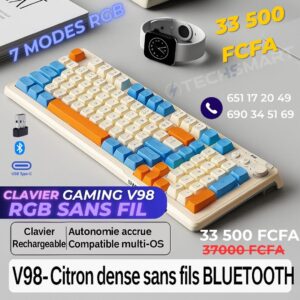 Clavier Gaming mécanique sans fil Cyber Punk EWEADN V98